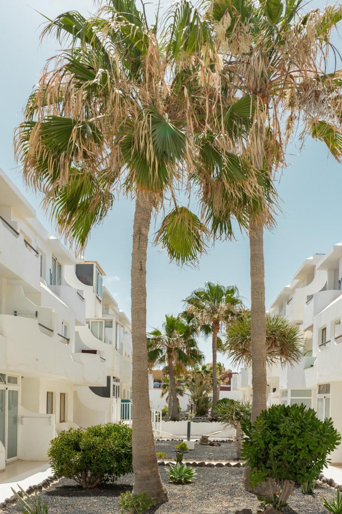 Casa Maja Apartment Costa De Antigua Ngoại thất bức ảnh